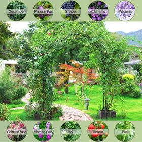 LeJoy Garden garden arbor arch indoor-event shows versatile backdrop for parties or photos.