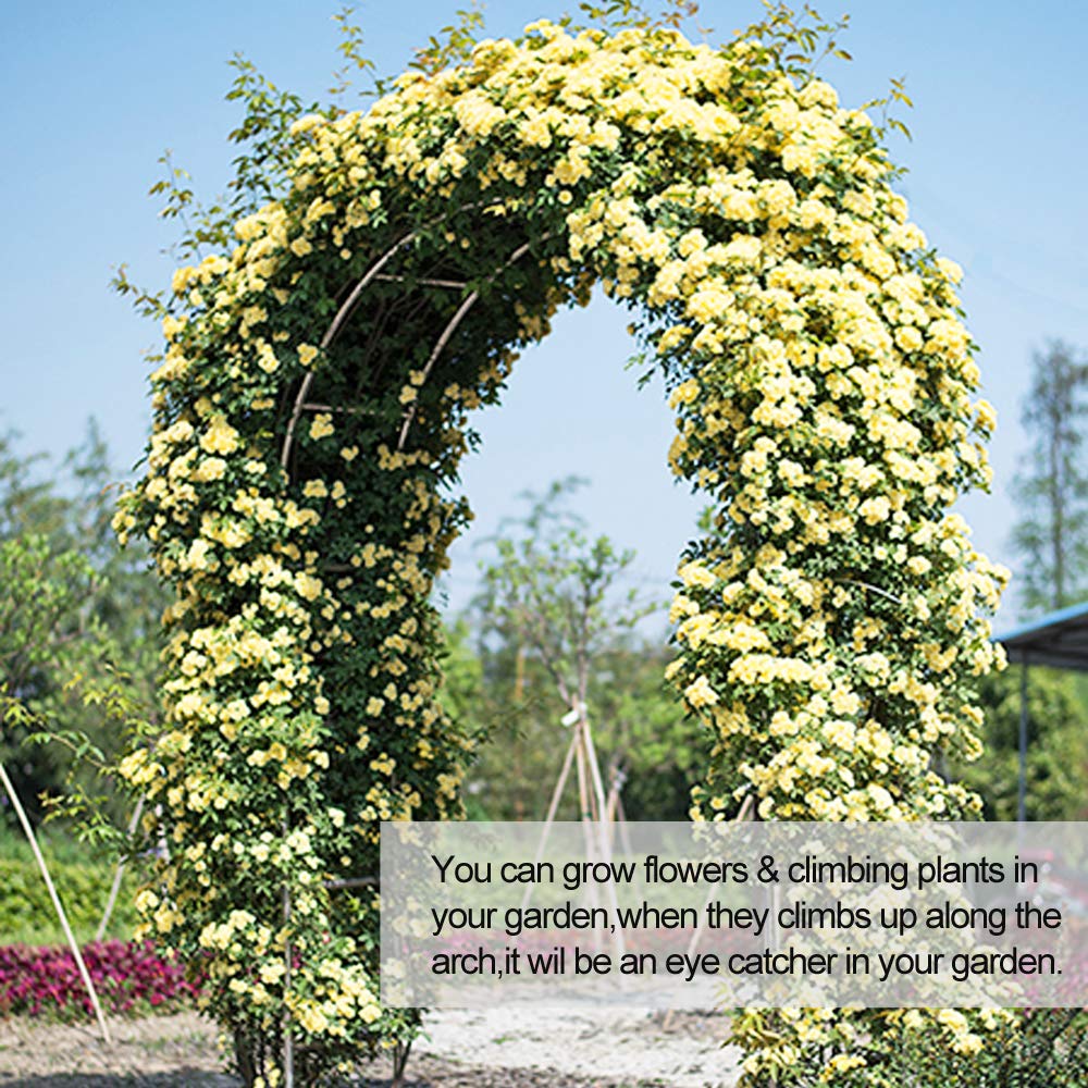 LeJoy Garden arch adds a focal point to garden celebrations