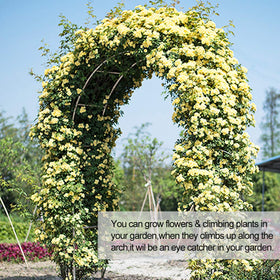 LeJoy Garden arch adds a focal point to garden celebrations