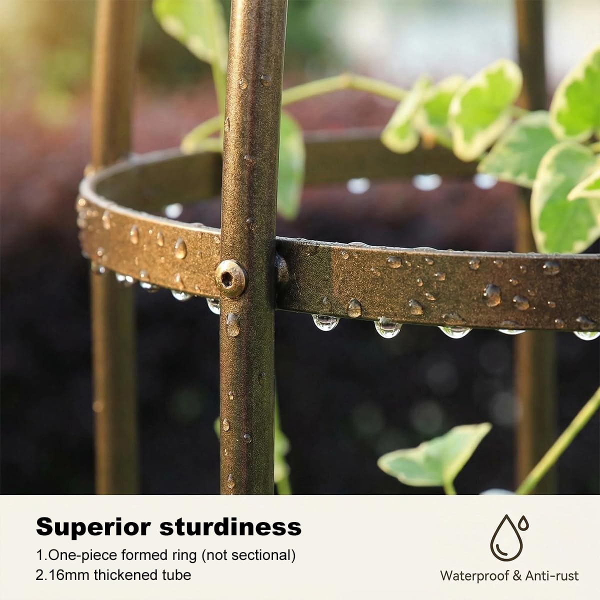 LeJoy Garden trellis supports climbing vines on balconies and planters.