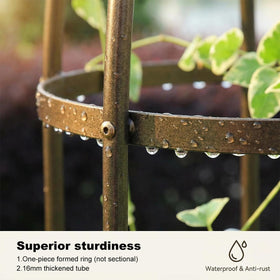 LeJoy Garden trellis supports climbing vines on balconies and planters.