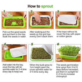 LeJoy Garden easy assembly helps you start sprouting quickly.