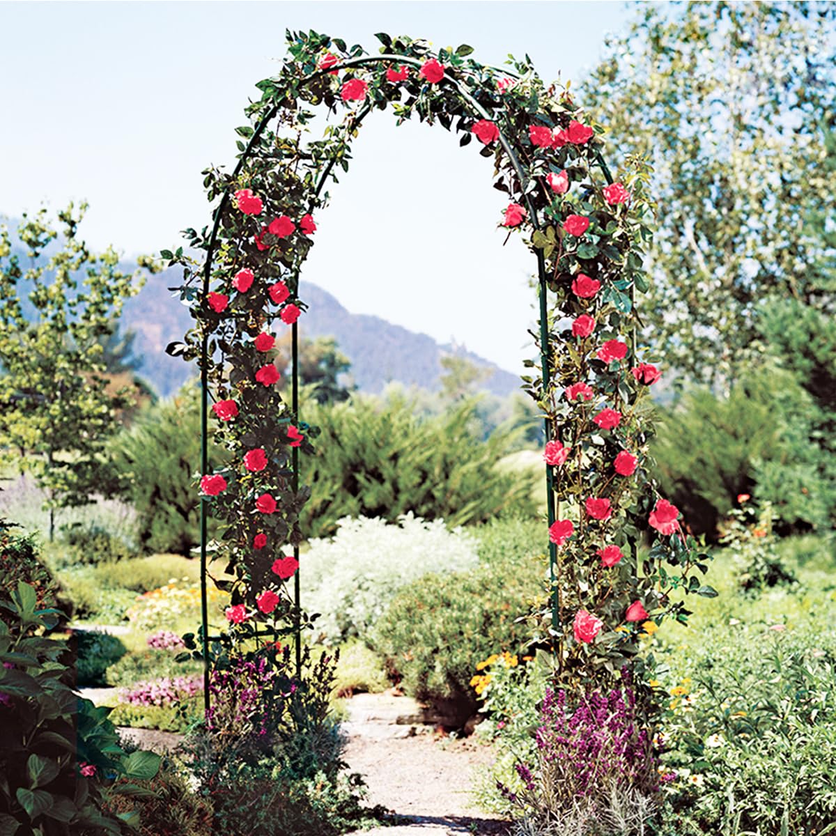 LeJoy Garden lightweight arch is easy to transport and reposition.