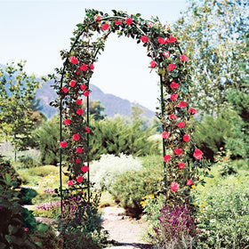 LeJoy Garden lightweight arch is easy to transport and reposition.