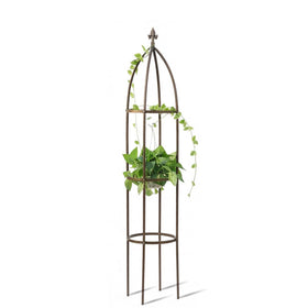 LeJoy Garden obelisk trellis bronze finish stands 66 inches tall, supporting climbing vines.