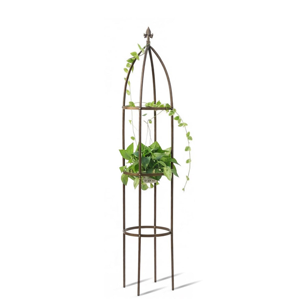 LeJoy Garden obelisk trellis bronze finish stands 66 inches tall, supporting climbing vines.