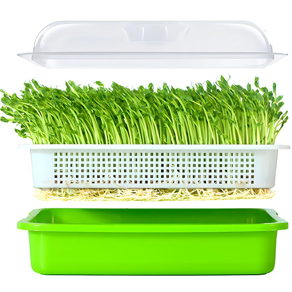 LeJoy Garden seed sprouter tray with cover promotes moisture retention for faster sprouts.