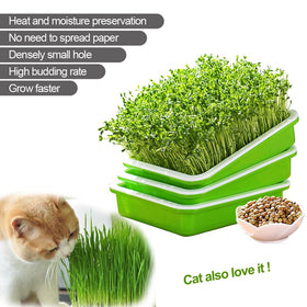 LeJoy Garden soil-free wheatgrass grower for fresh greens at home.