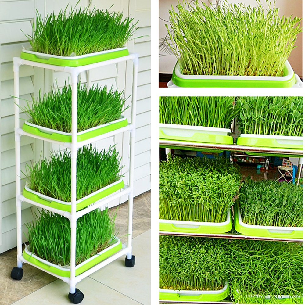 LeJoy Garden storage tray doubles as drying and organizing space.