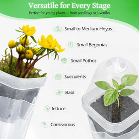 LEMEWEL side water inlet allows watering without disturbing roots.