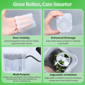 LEMEWEL transparent double-layer design shows root growth clearly.
