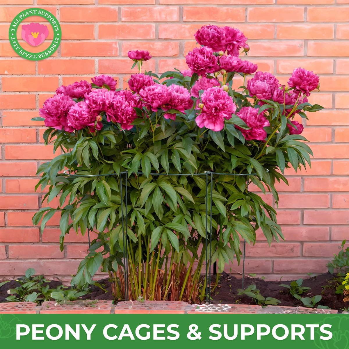 LEOBRO indoor outdoor stake in glossy green complements foliage
