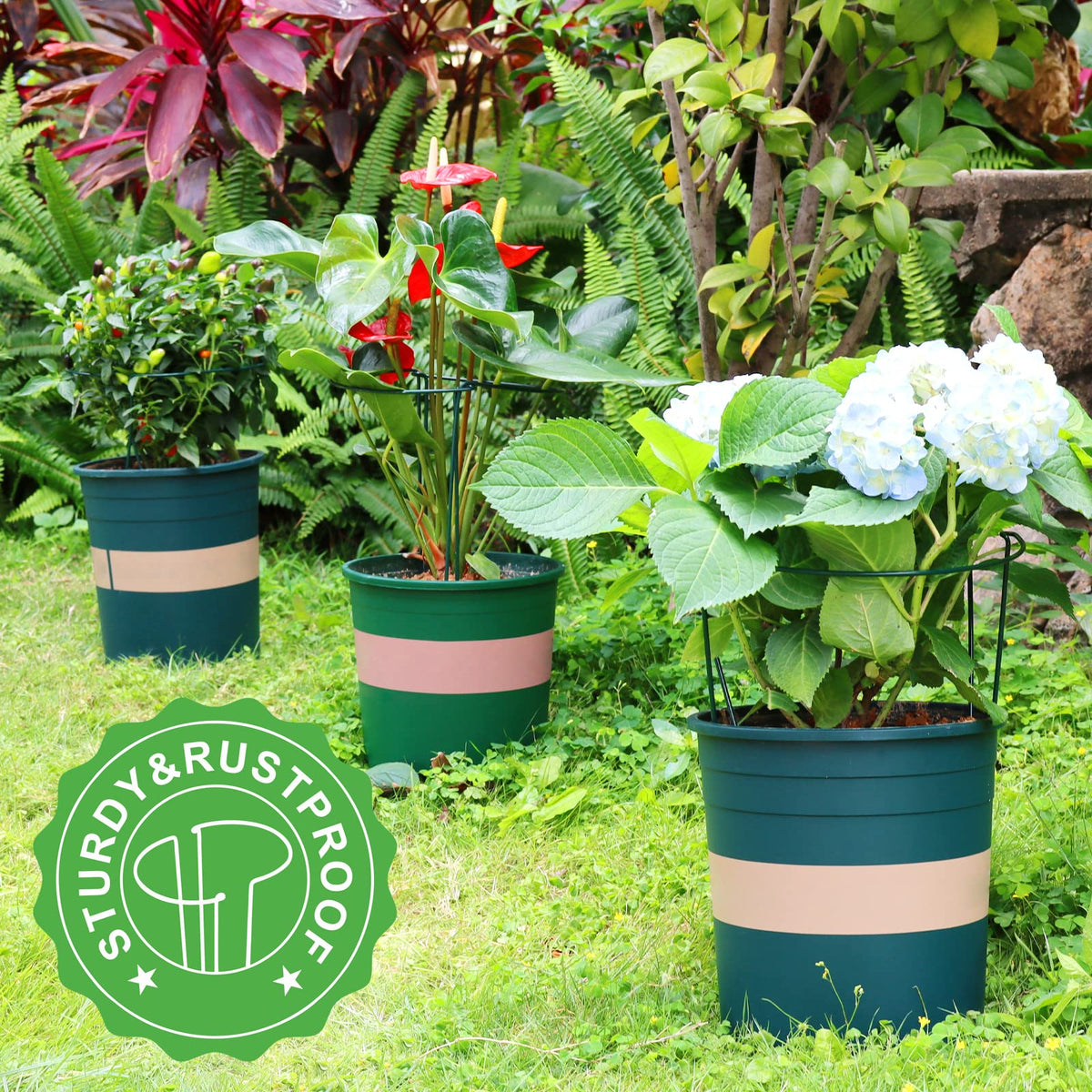 LEOBRO indoor and outdoor plant supports stabilize potted plants.