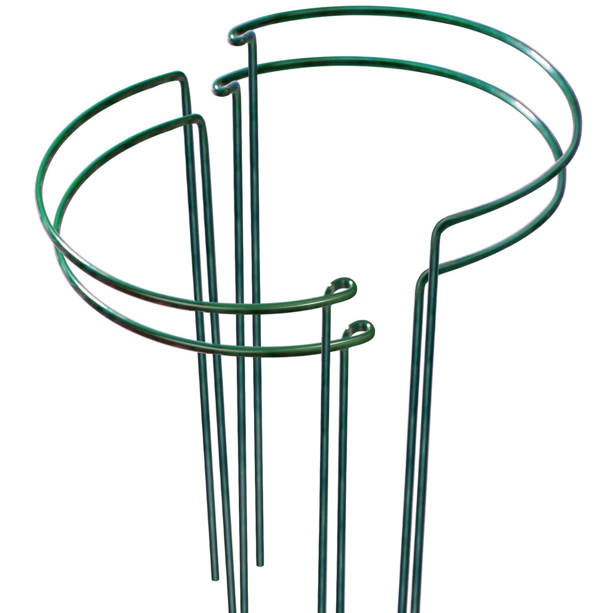 LEOBRO plant support stakes stabilize peony cages for upright blooms.