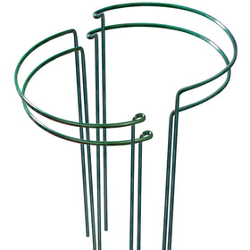 LEOBRO plant support stakes stabilize peony cages for upright blooms.