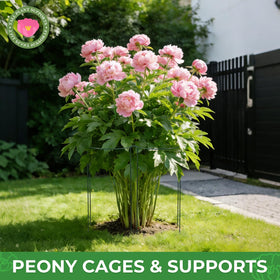 LEOBRO tomato monstera stake provides strong backing to prevent drooping vines