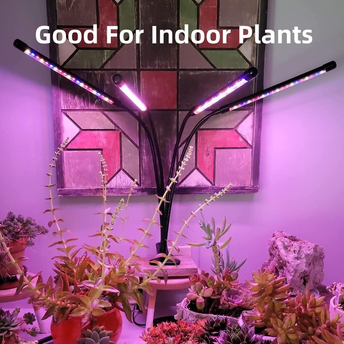 LEOTER Grow Light dimmable levels tailor brightness for seedlings and herbs