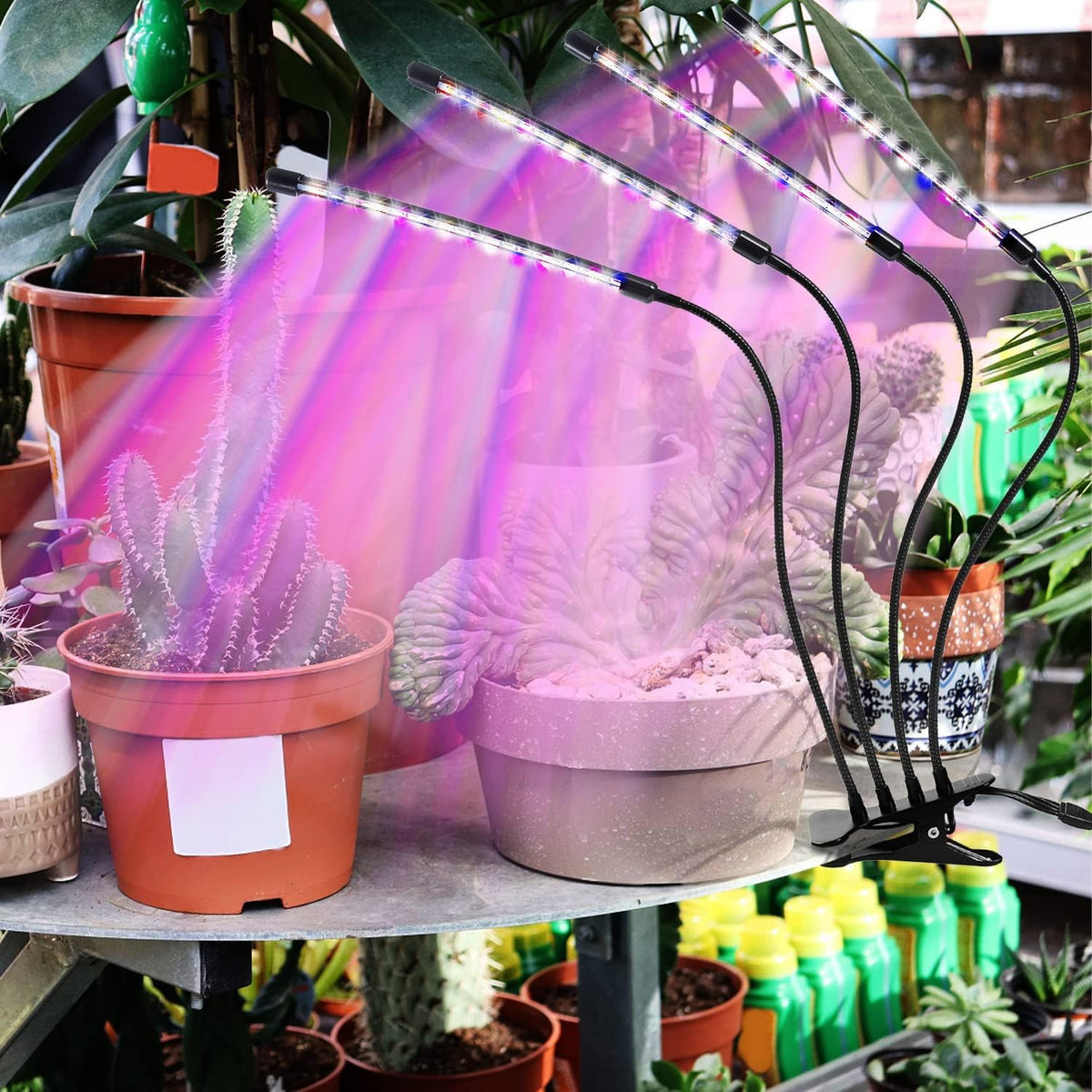LEOTER Grow Light red-blue spectrum supports blooming and fruiting indoors