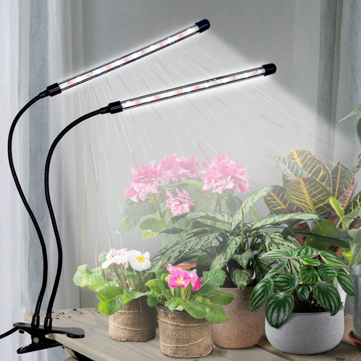LEOTER Grow Light USB powered setup works with wall adapters banks or laptops