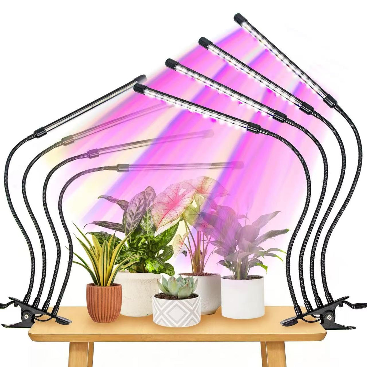 LEOTER full-spectrum LED plant light simulating sunlight for healthy growth