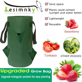 Lesimnky bottom drainage hole promotes inverted planting and healthy airflow