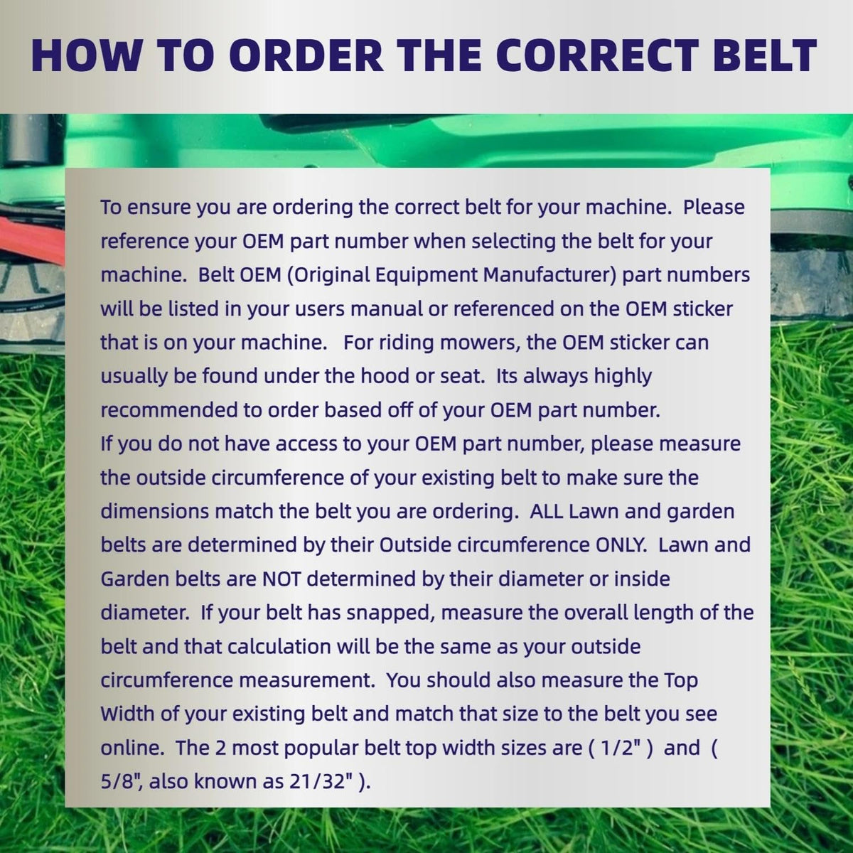 LESIONGO ordering guide image shows how to verify the OEM part number