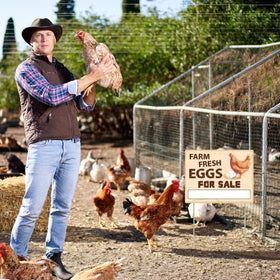 Lesnala eggs sign six stakes included for quick ground setup