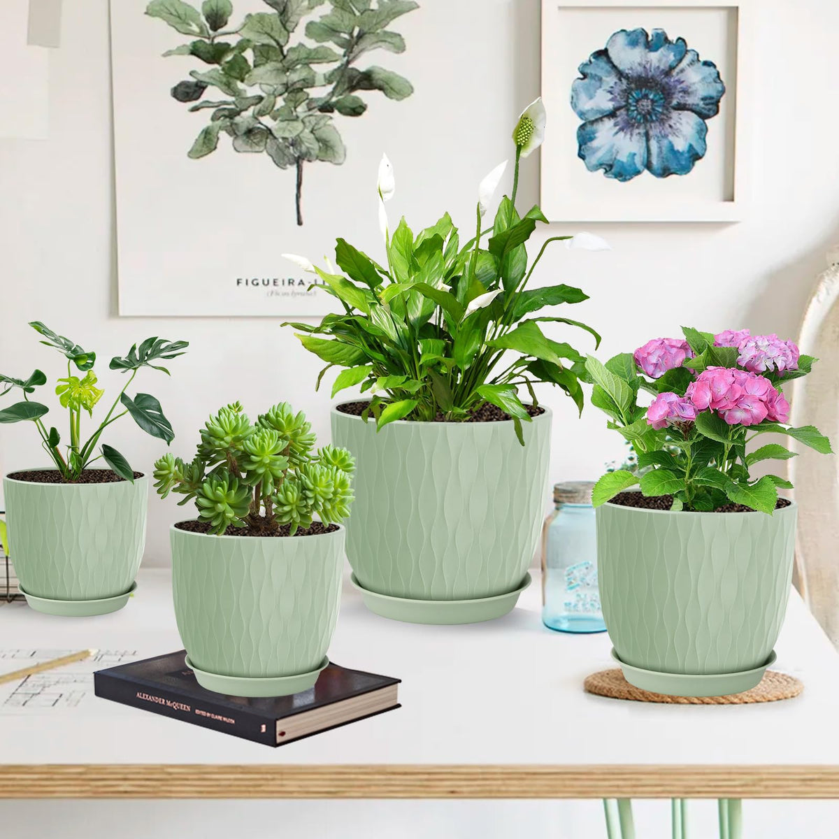 LesOASIS gift-ready plant pots ideal for garden lovers and DIY projects.