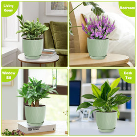 LesOASIS green modern planter adds a clean, stylish touch to a plant corner.