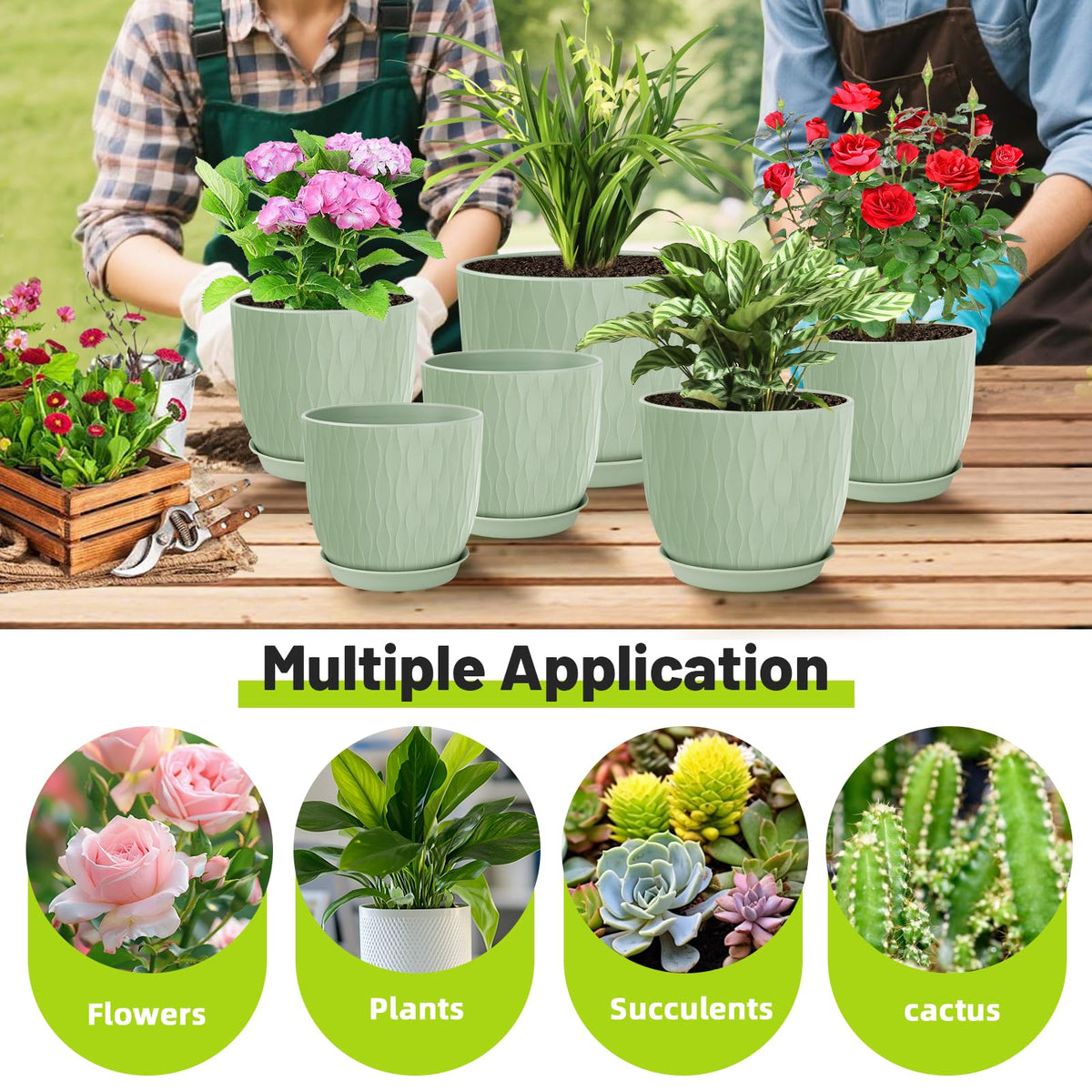 LesOASIS planters suit both indoor living spaces and outdoor patios for versatile decorating.