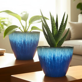LESOASIS gift-ready packaging highlights a stylish plant pot set.
