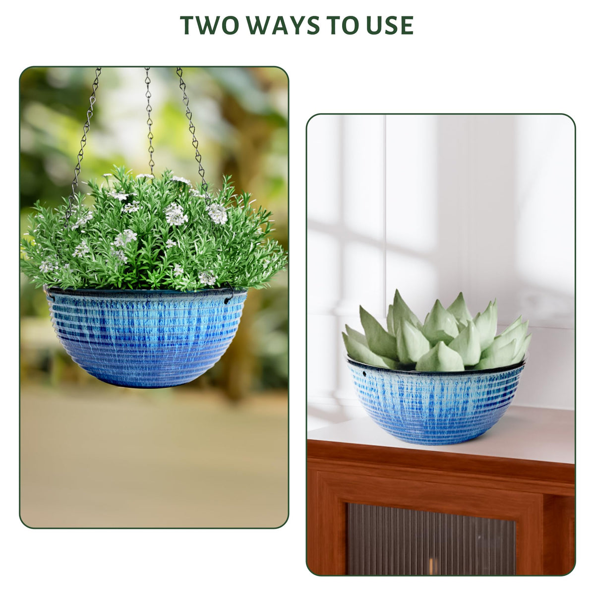 LESOASIS 10-inch planter ideal for succulents, ferns, mint.