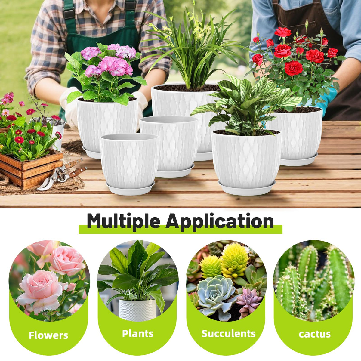 LESOASIS 7-inch pot fits compact plants with dry surface protection.