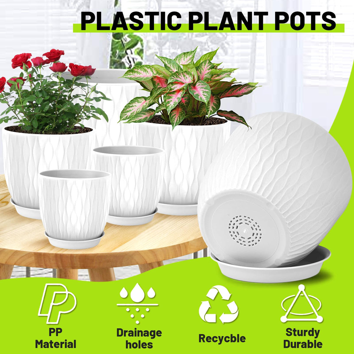 LESOASIS 8-inch planter ideal for herbs on a sunny windowsill.