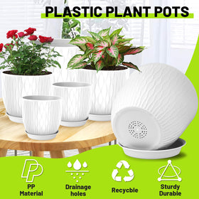 LESOASIS 8-inch planter ideal for herbs on a sunny windowsill.