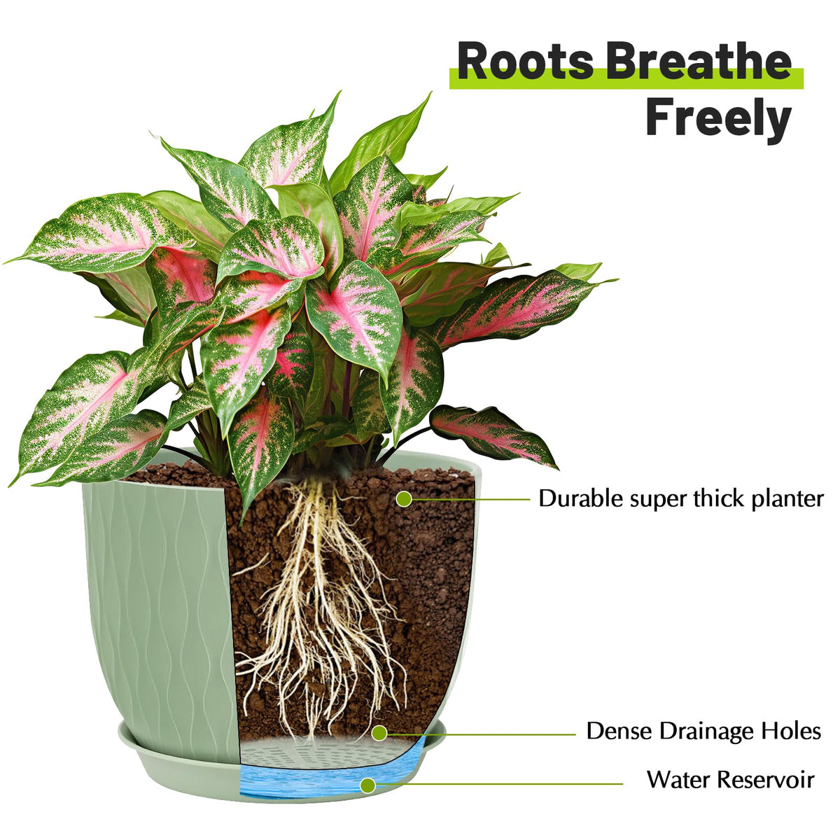 LesOASIS pot features drainage holes and a saucer to protect surfaces.