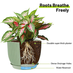 LesOASIS pot features drainage holes and a saucer to protect surfaces.