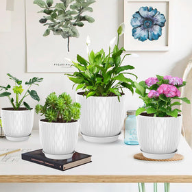 LESOASIS pots with saucers protect surfaces and manage moisture.