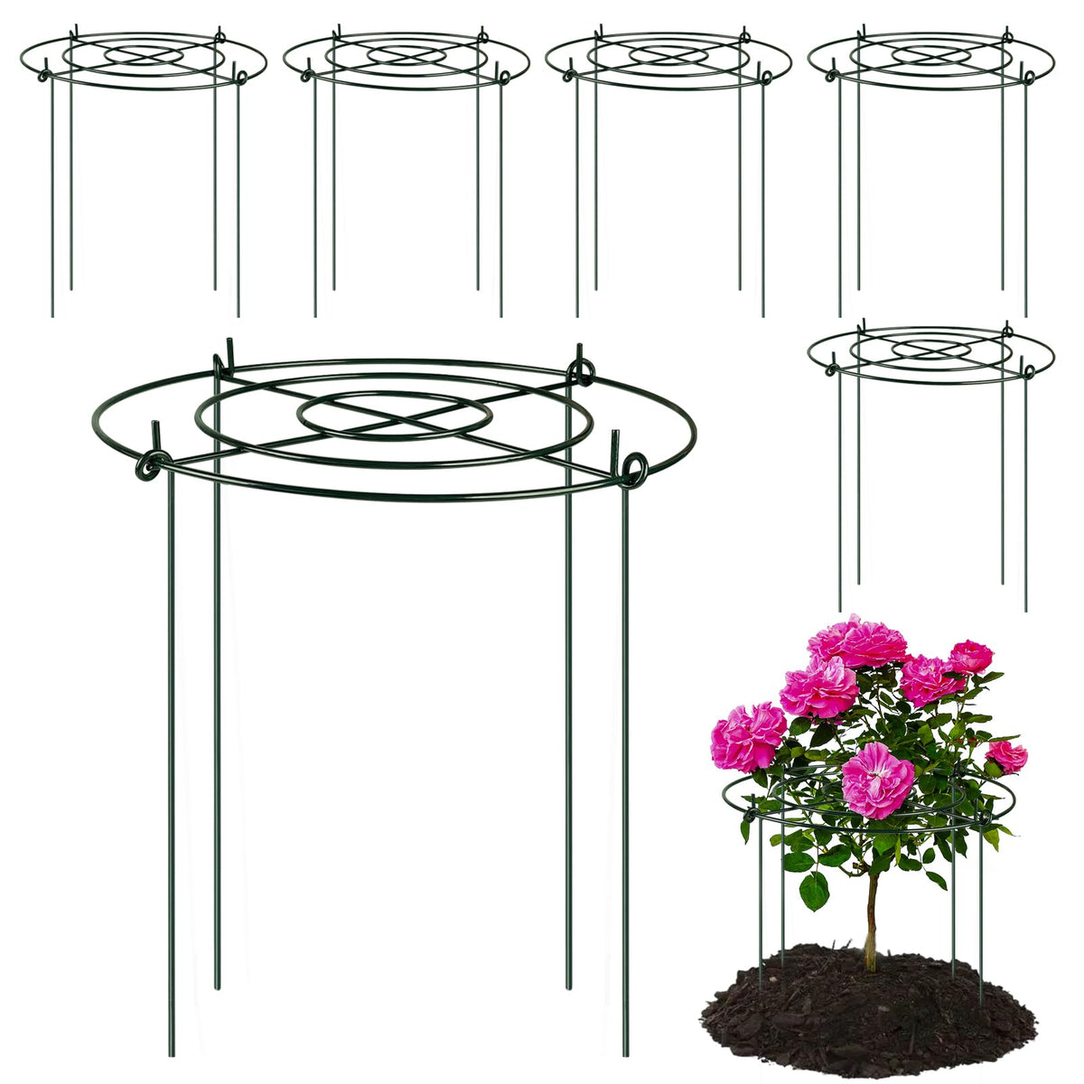 letesult 6-pack peony cages provide sturdy garden support for flowering plants