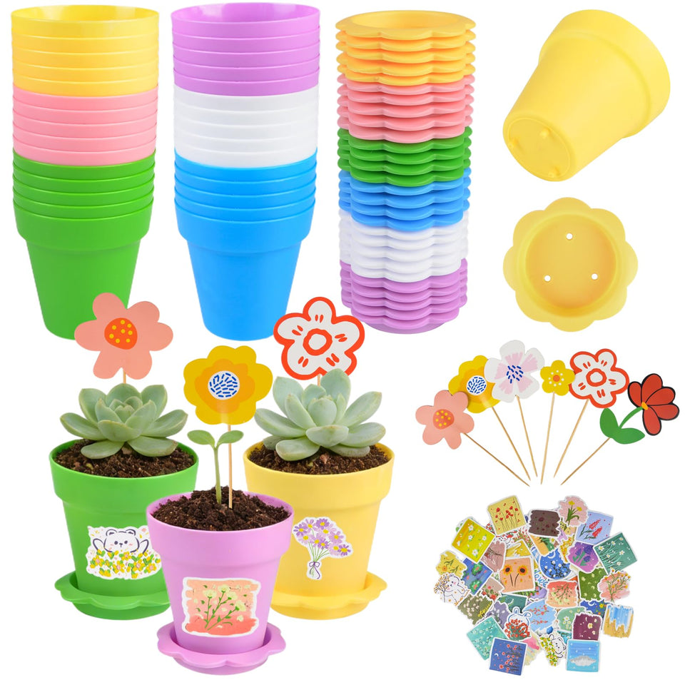 letesult cupcake pots in mixed colors with trays for decorative indoor gardening and seed starting