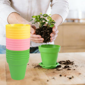 letesult versatile pots suitable for indoor and outdoor seed planting and displays