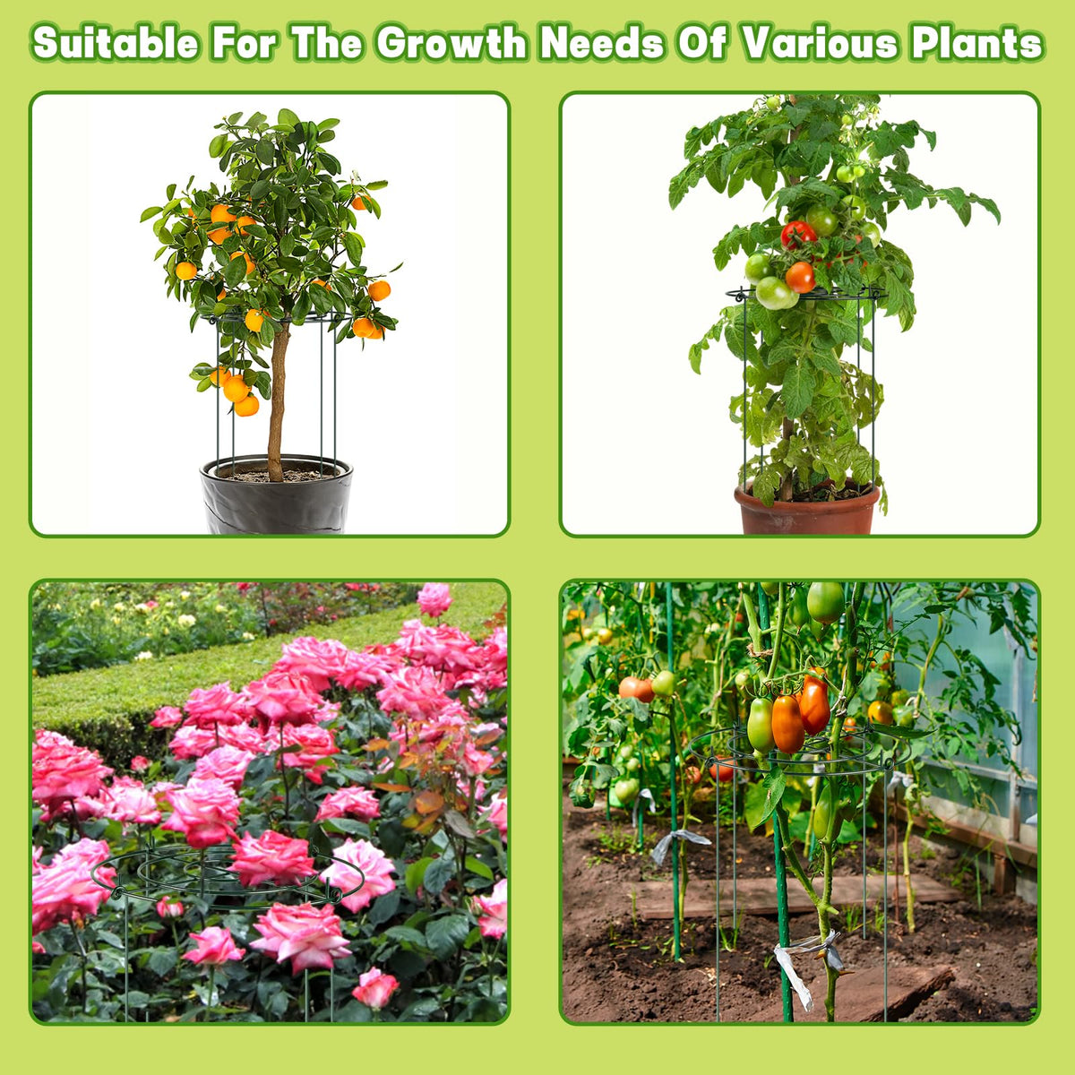letesult ideal for roses, hydrangeas, tomatoes and cucumbers outdoors