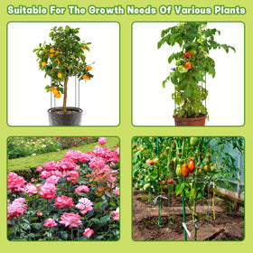 letesult ideal for roses, hydrangeas, tomatoes and cucumbers outdoors