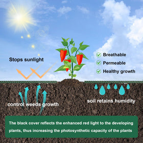 letesult planting holes design supports quick, orderly sowing at 3.9 inches.
