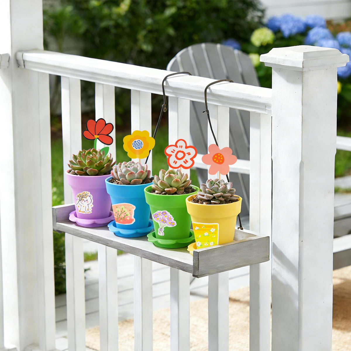 letesult perfect for seedlings and succulents in homes, studios, and shops