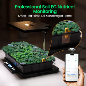 LETPOT 40-cell seedling tray with grow sponges enables cleaner transplanting.
