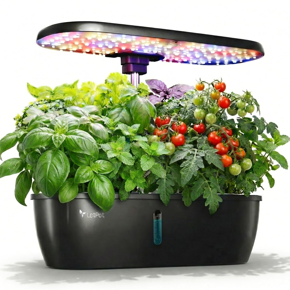 LETPOT hydroponics system front view for compact year-round herbs