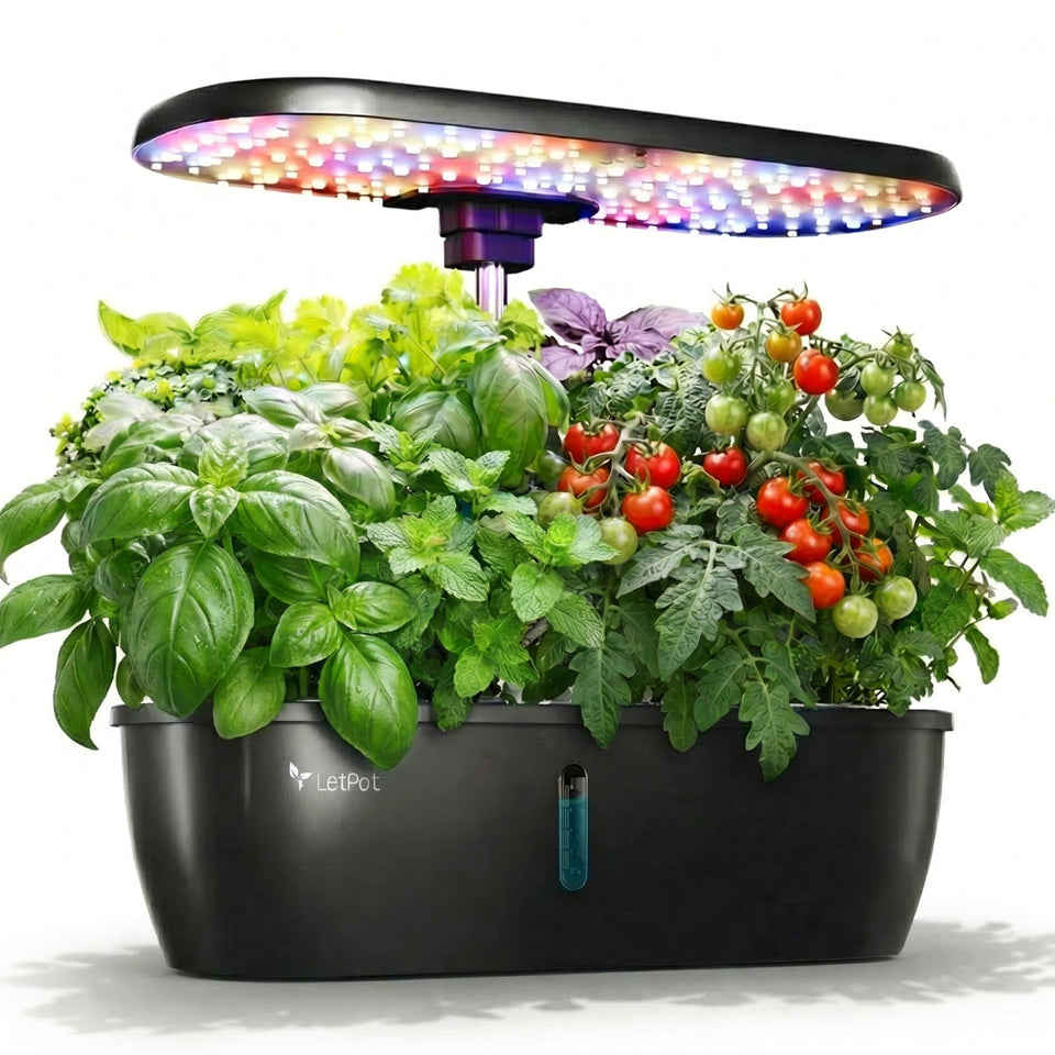 LETPOT hydroponics system front view for compact year-round herbs