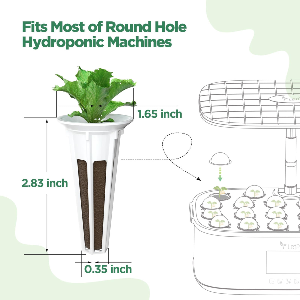 LETPOT seed pods suit indoor hydroponics for herbs, vegetables, and flowers