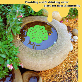 letesult outdoor pollinator feeder supports safe drinking in garden settings